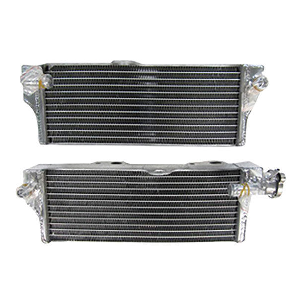 ENSEMBLE SURDIMENSIONNÉ DE RADIATEUR PSYCHIQUE (XD-10057)