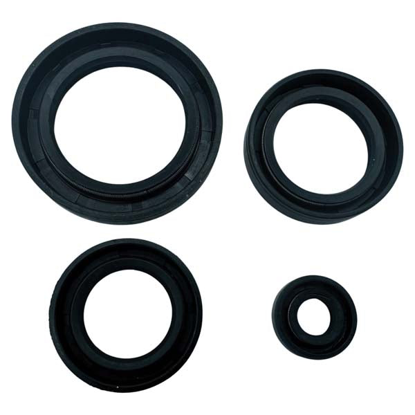 MOGO PARTS OIL SEAL KIT (92-0036)