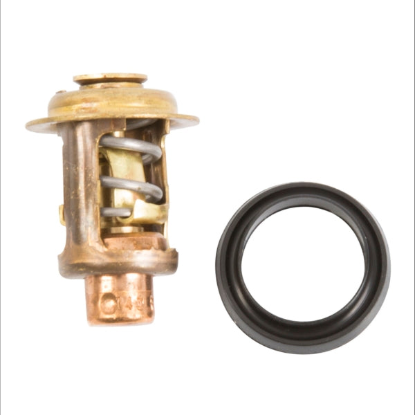 Sierra Thermostat Kit (728097)