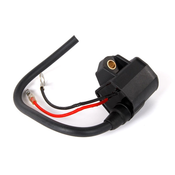 Sierra Ignition Coil 18-5128 (728384)
