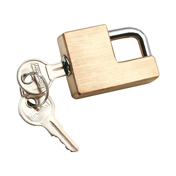 Reese TOWPOWER Trailer Hitch Coupler Lock (746184)