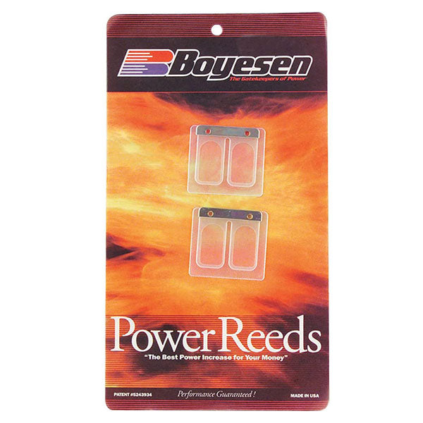 BOYESEN MOTORCYCLE POWER REED (6118)