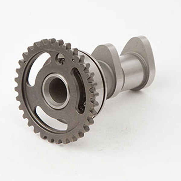 Admission d'arbre à cames Hot Cams (2041-1IN)