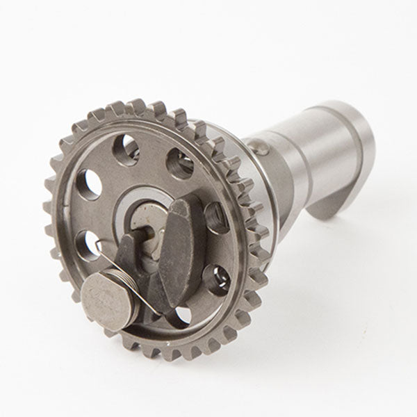 Arbre à cames d'échappement Hot Cams (4020-1E)