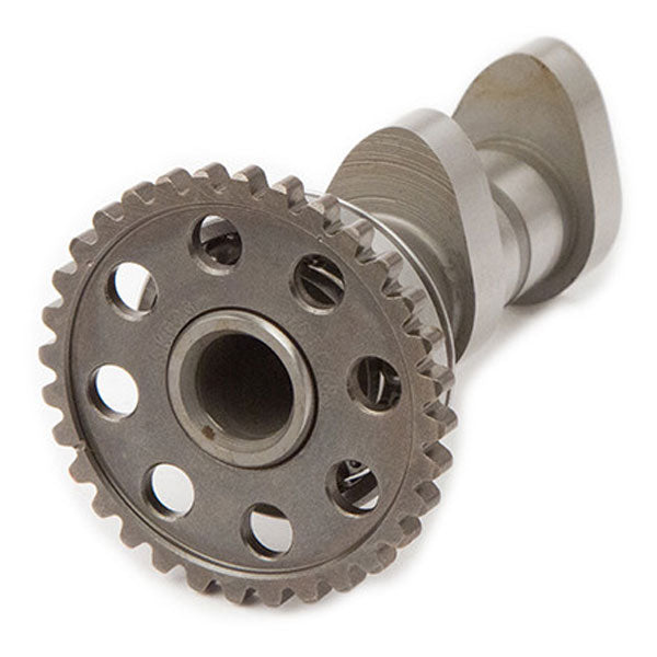 Hot Cams Camshaft Intake (4165-2IN)