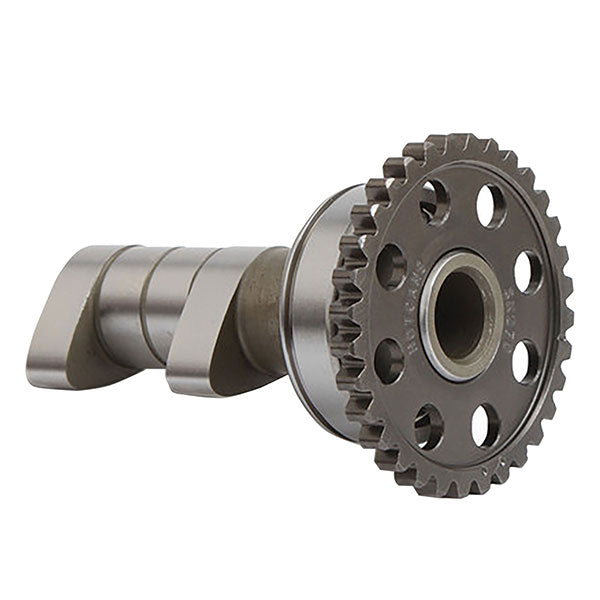 Hot Cams Camshaft Intake (HC00119)