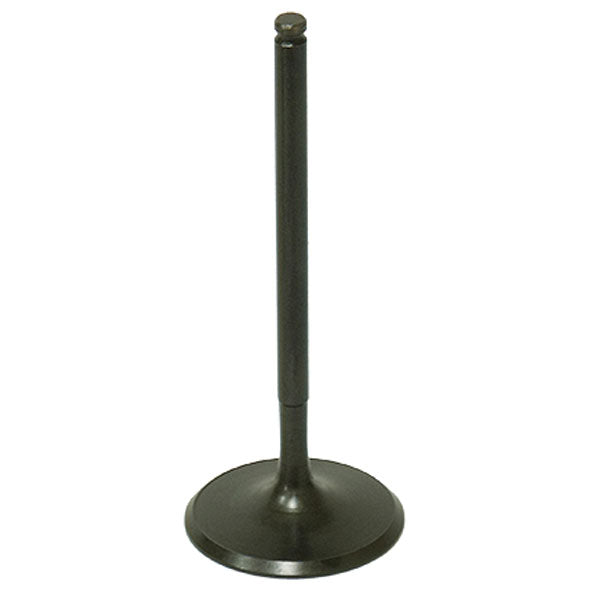 BRONCO ATV/UTV INTAKE VALVE (AU-09190I)