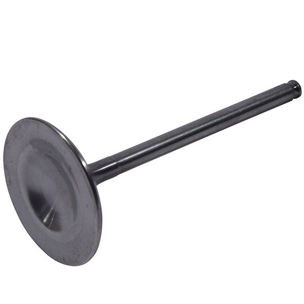 Hot Cams Valve Intake Titanium (8400027-2)