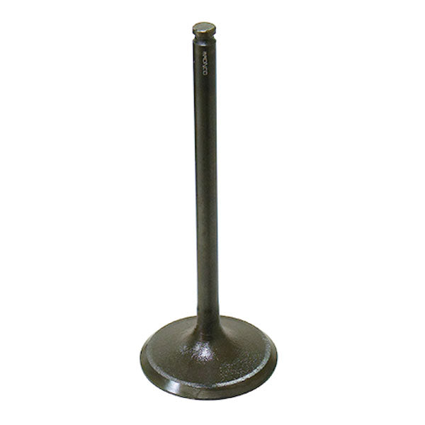BRONCO ATV/UTV INTAKE VALVE (AU-09166I)