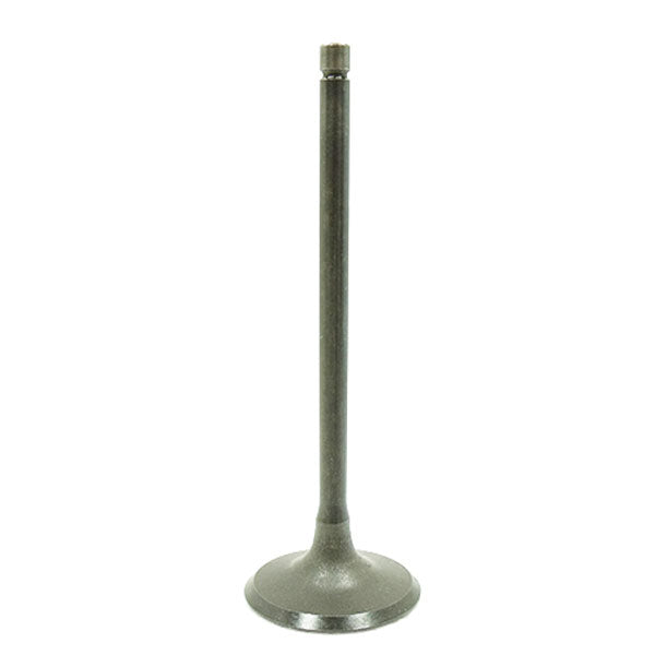 BRONCO ATV/UTV INTAKE VALVE (AU-09199I)