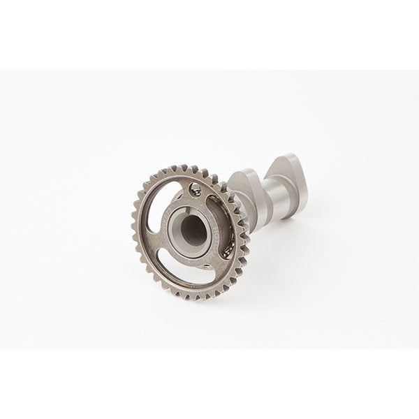 Admission d'arbre à cames Hot Cams (2072-1IN)