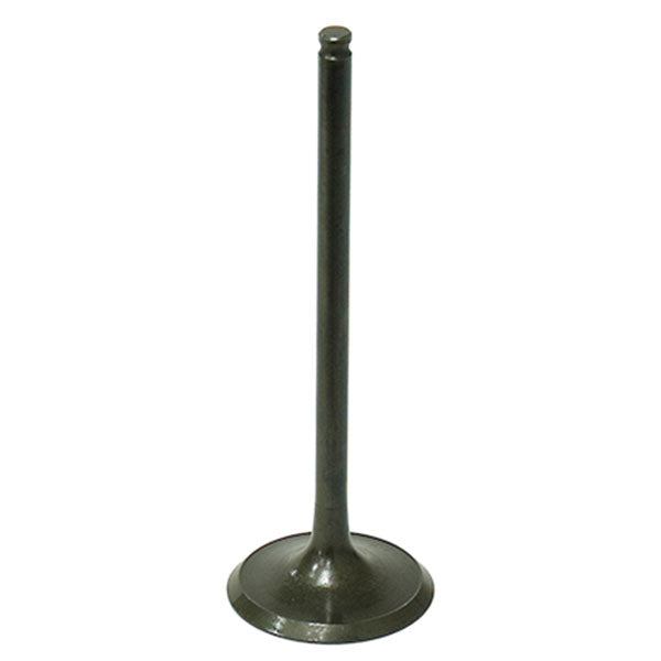 VALVE D'ADMISSION PSYCHIQUE (XU-09508I-1)