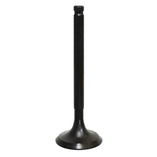BRONCO ATV/UTV INTAKE VALVE (AU-09163I)