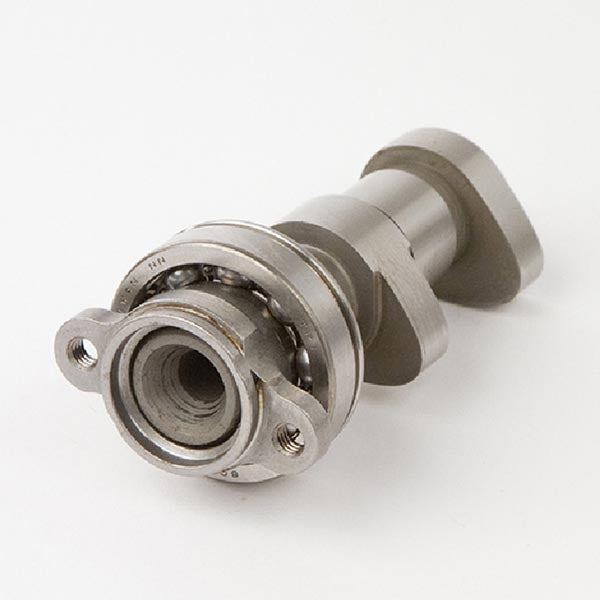 Hot Cams Camshaft Intake (2198-2IN)