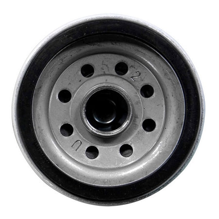 Sierra Oil Filter (791375)
