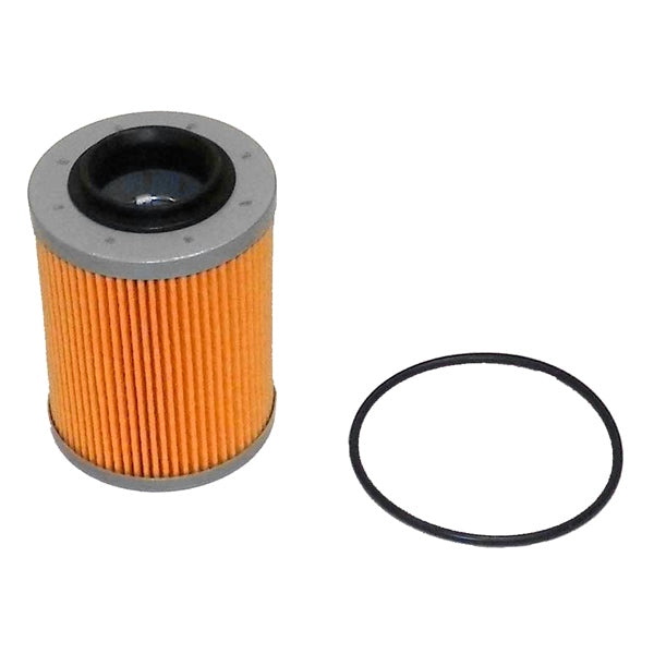 WSM Oil Filter (794060)