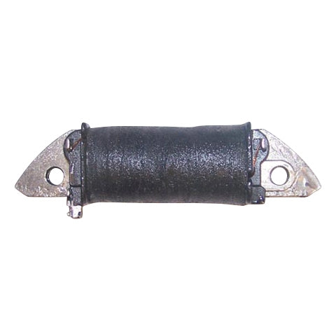 WSM Charge Coil (796147)