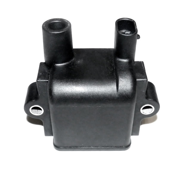 WSM Ignition Coil (796149)