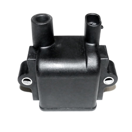 WSM Ignition Coil (796149)