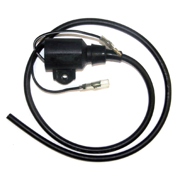 WSM Ignition Coil (796157)