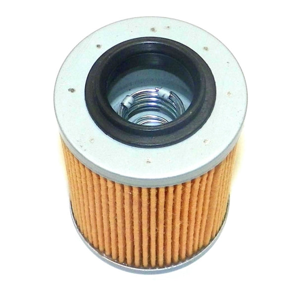 WSM Oil Filter (796305)