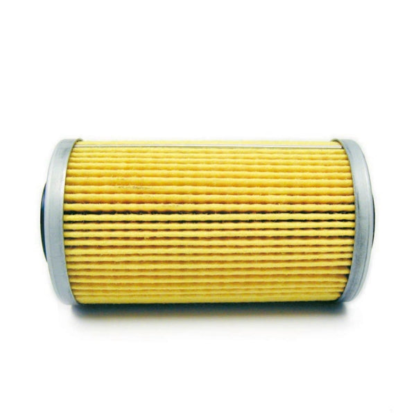 WSM Oil Filter (796306)