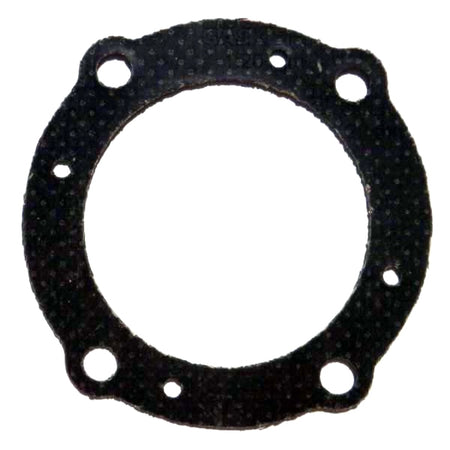 WSM Muffler Damper Gasket (796528)