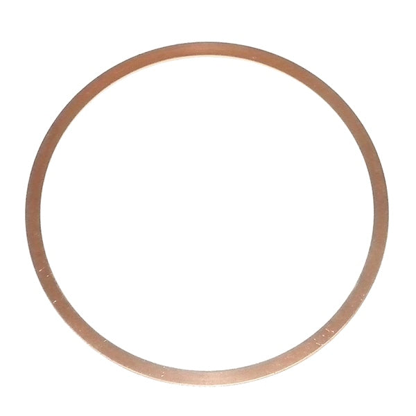WSM Exhaust Seal Ring (796780)