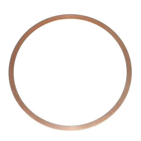 WSM Exhaust Seal Ring (796780)