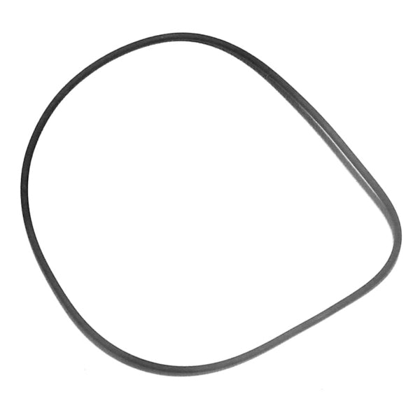 WSM O-Ring (797066)