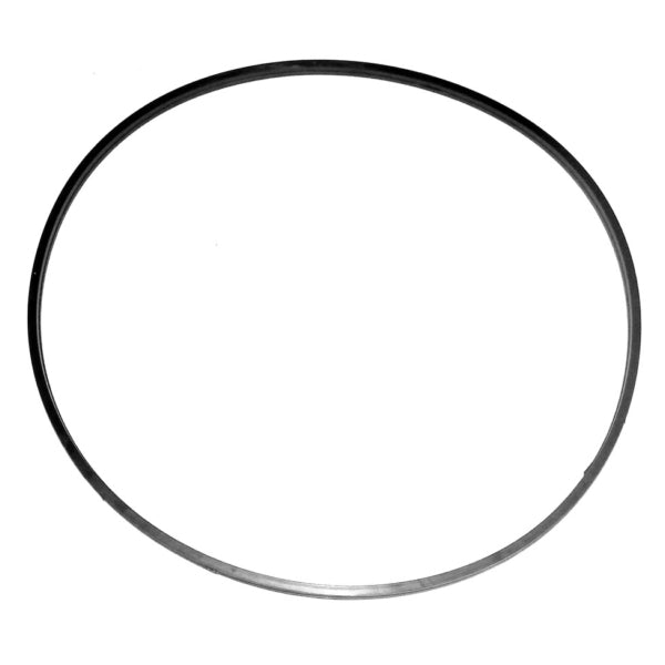 WSM Water Pump Seal (797086)