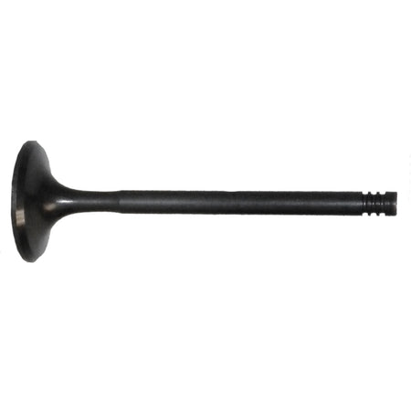WSM Exhaust Valve (797391)