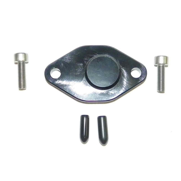 WSM Oil Injection Block Off Plate (798660)