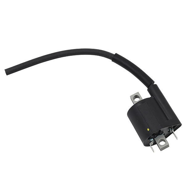 BOBINE D'ALLUMAGE PSYCHIQUE (MX-01410)