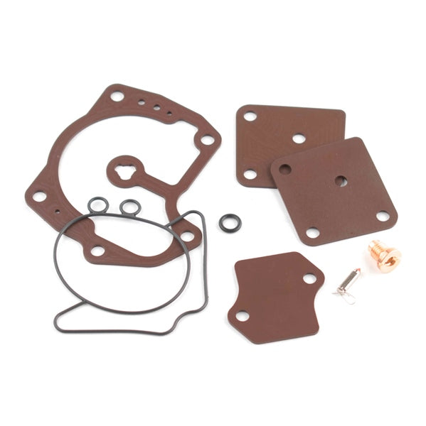 WSM Carburetor Kit (800706)