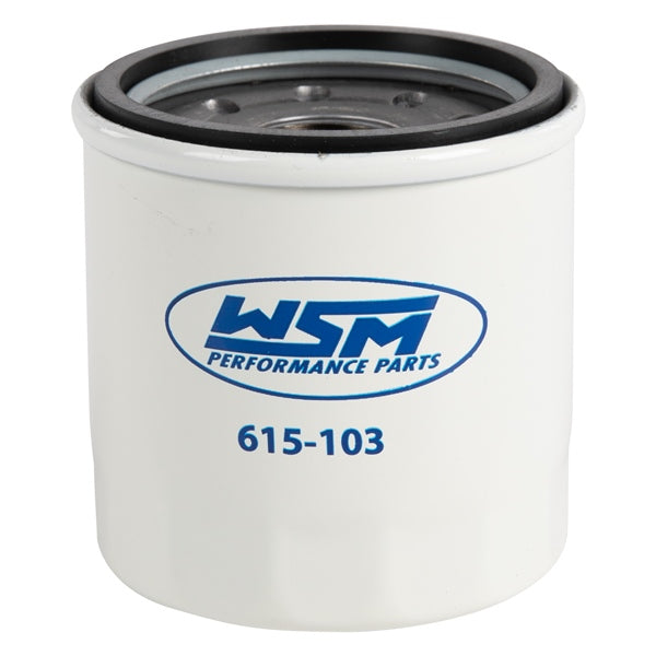 WSM Filtre à huile (800952)