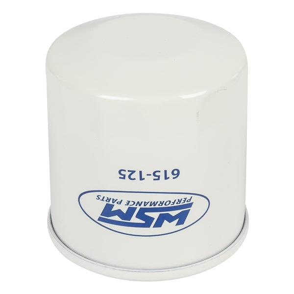 WSM Filtre à huile (800956)