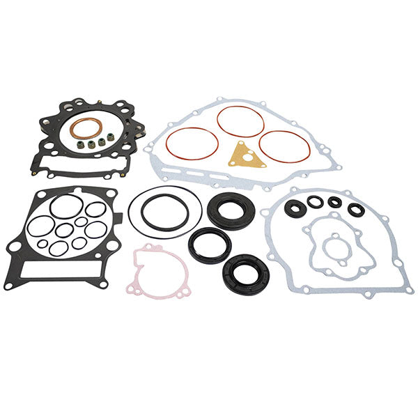 VERTEX GASKET SET & OIL SEALS (8110049)