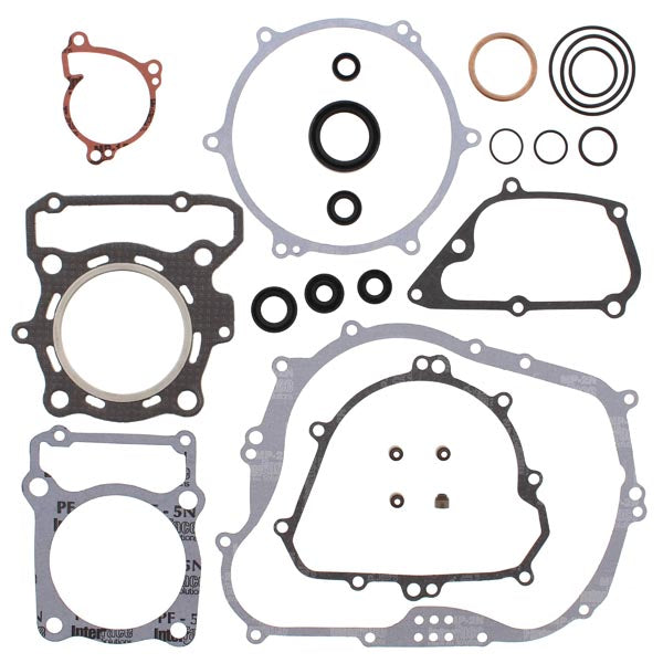 VERTEX GASKET SET & OIL SEALS (811461)