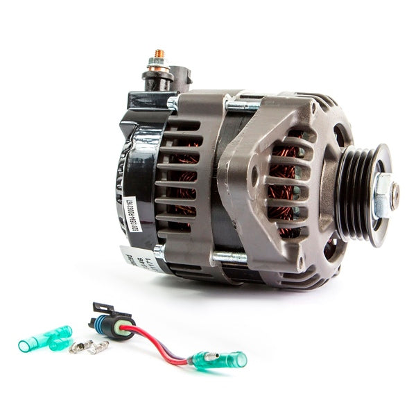 Sierra Alternator (814489)