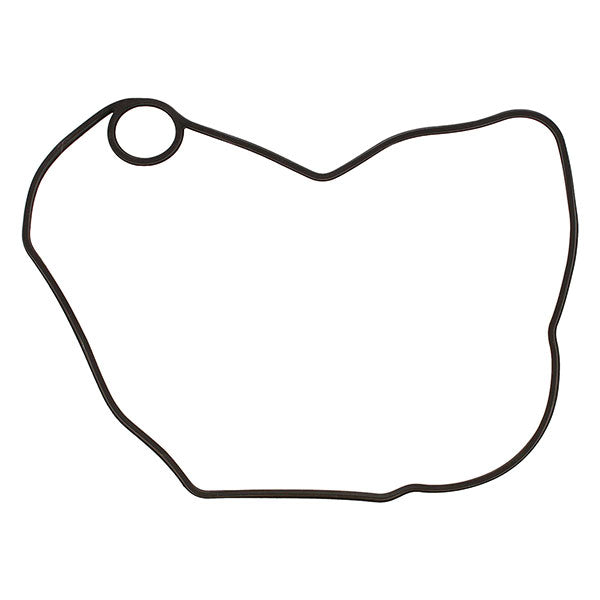 JOINT DE COUVERCLE D'ALLUMAGE VERTEX (816330)