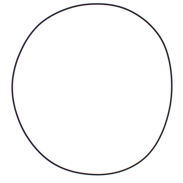 Vertex Outer Clutch Cover Gasket (817716)