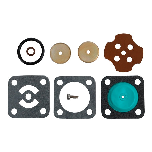BRP Evinrude Fuel Pump Kit (821655)