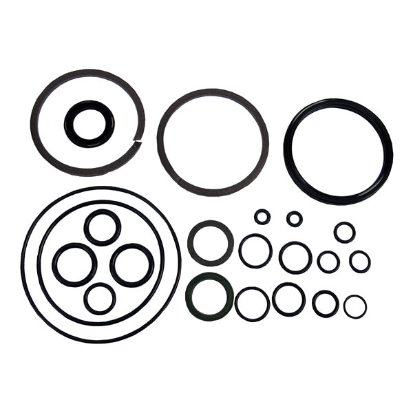 BRP Evinrude O-ring (821662)