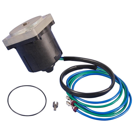 BRP Evinrude Motor and O-Ring (821756)