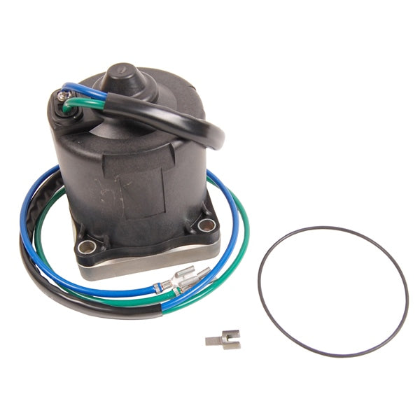 BRP Evinrude Moteur et joint torique (821758)