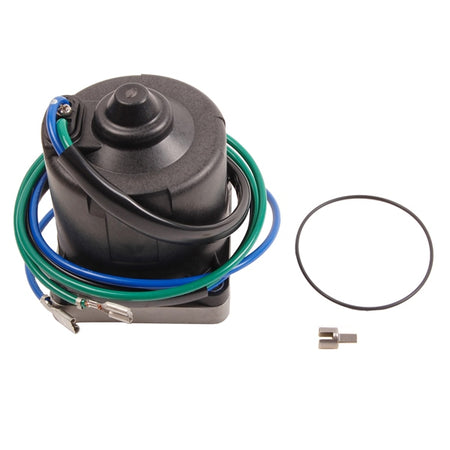 BRP Evinrude Moteur et joint torique (821759)