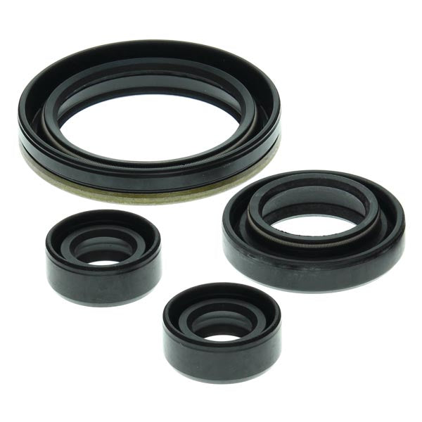 Kit de joints d'huile moteur Vertex (822150)