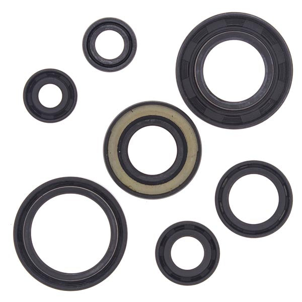 Kit de joints d'huile moteur Vertex (822153)