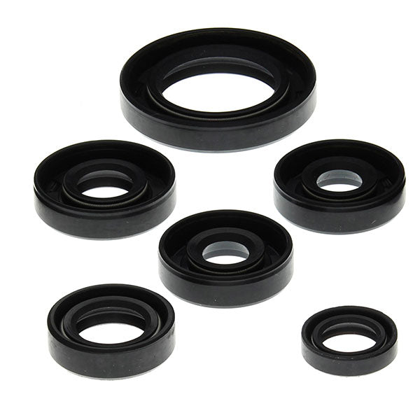 Vertex Engine Oil Seal Kit (822203)